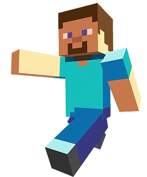 Steve Steve