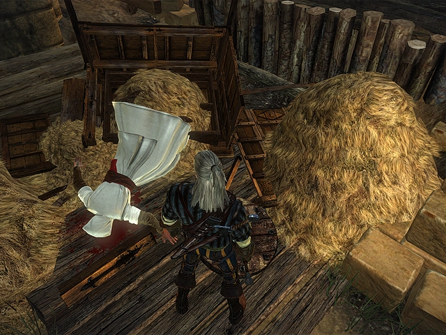 The Witcher 2 The Witcher 2