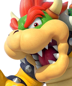 Bowser Bowser