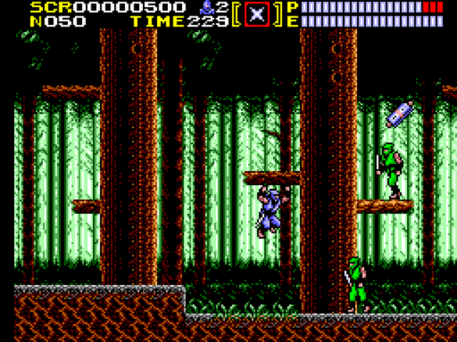 Ninja Gaiden Ninja Gaiden
