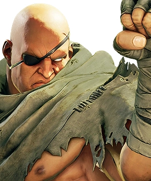 Sagat Sagat