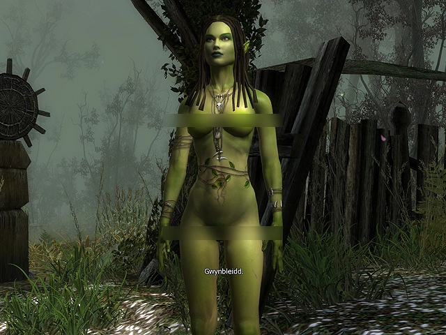 The Witcher Nudity The Witcher Nudity