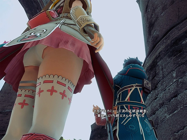 Star Ocean 5 Panties Star Ocean 5 Panties