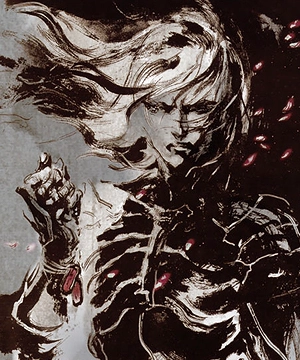 Raiden's Dog Tags Raiden's Dog Tags