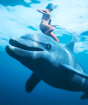 Hallucinatory Dolphin