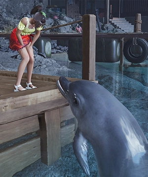 Mr. Dolphin
